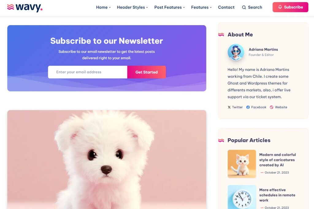 Thiết kế của theme wavy