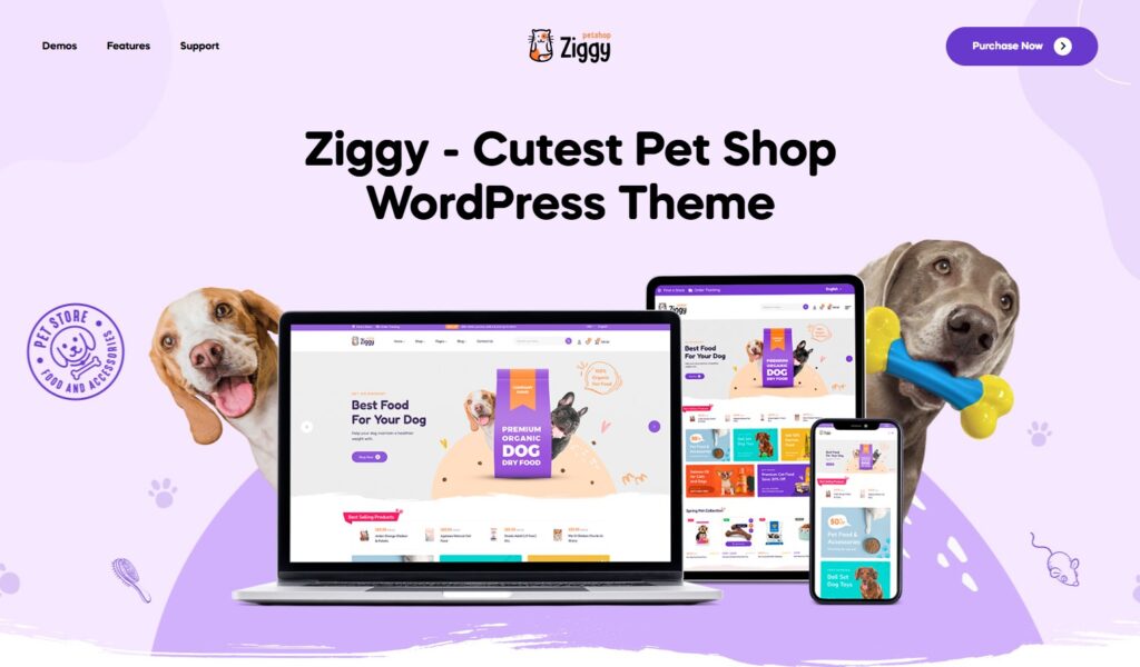 Demo Theme Ziggy WordPress