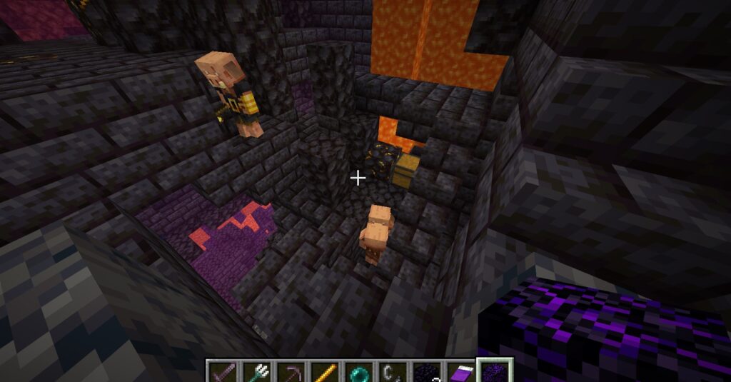 Trao đổi đồ với lợn